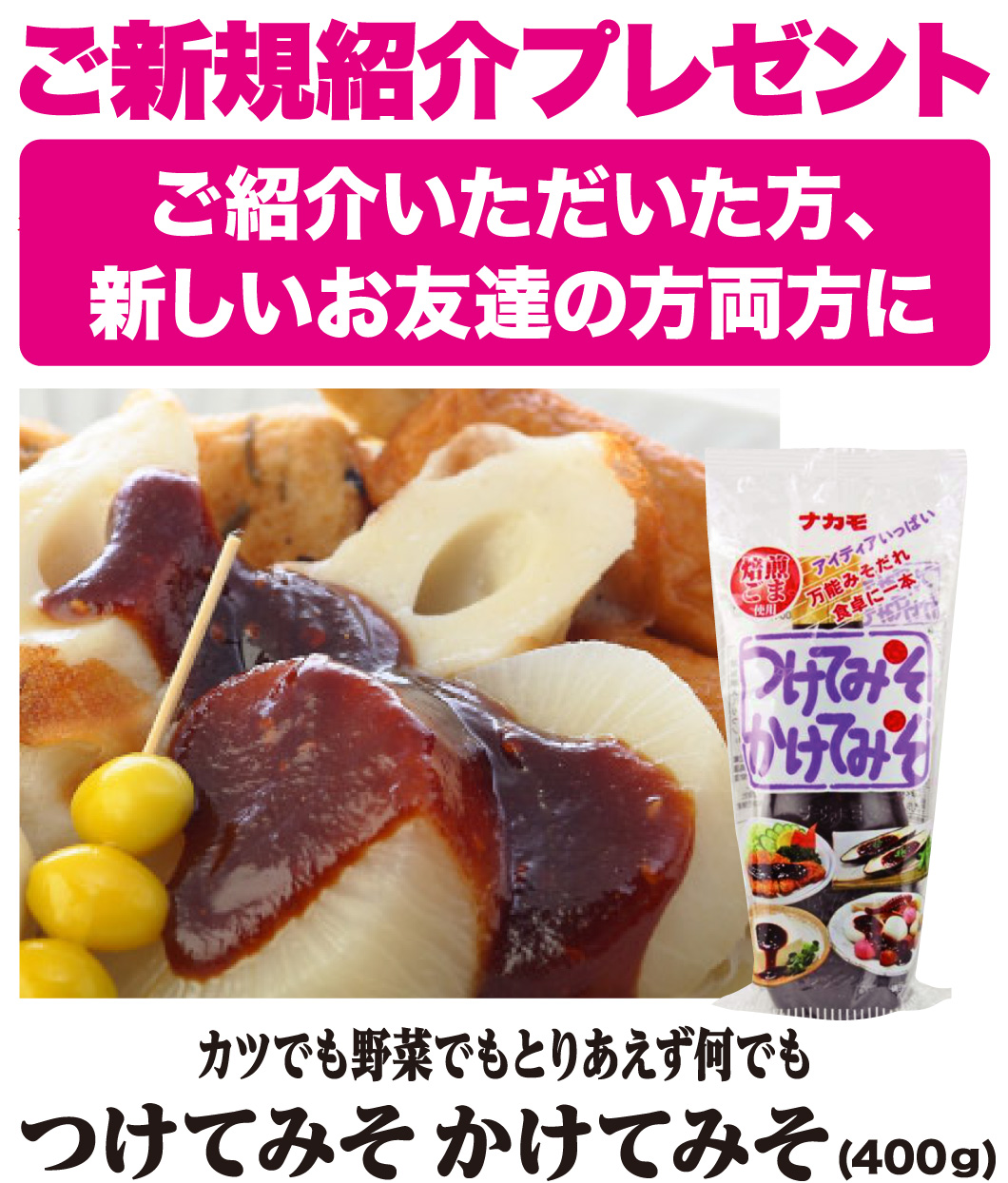 ご新規紹介プレゼント つけてみそ かけてみそ
